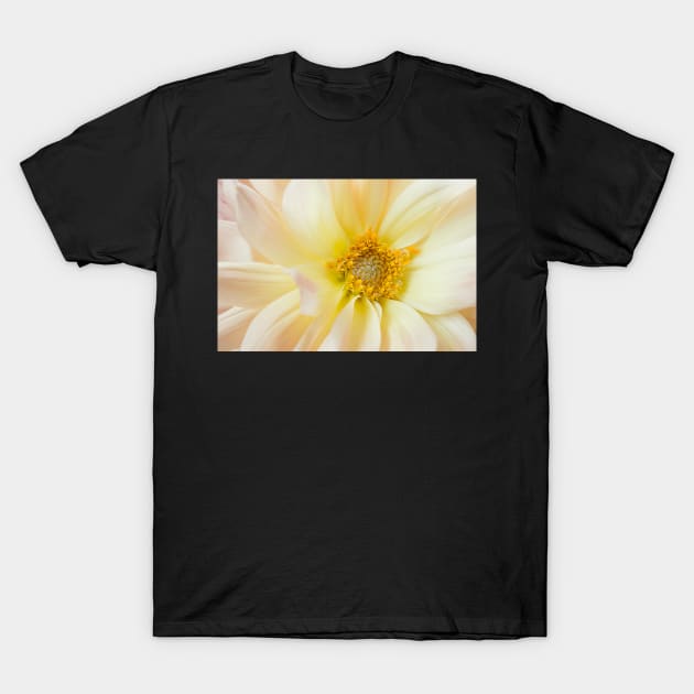 Yellow Dahlia Greeting Card T-Shirt by mariola5